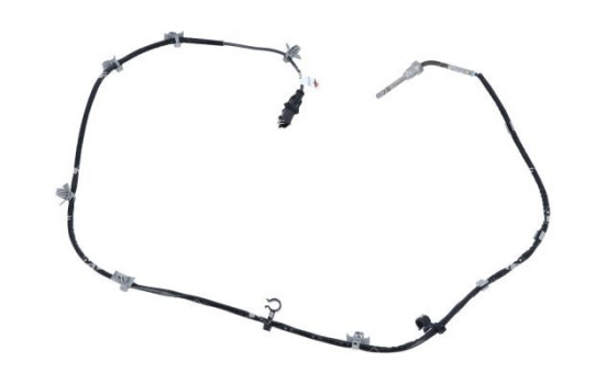 Sensor, avgastemperatur, bild 2