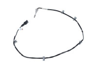 Sensor, avgastemperatur