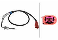Sensor, avgastemperatur