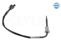 Sensor, avgastemperatur