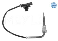 Sensor, avgastemperatur