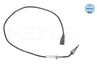 Sensor, avgastemperatur