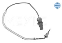 Sensor, avgastemperatur