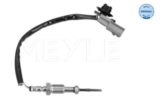 Sensor, avgastemperatur