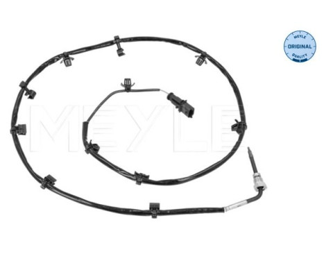 Sensor, avgastemperatur