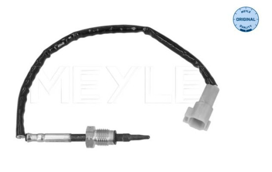 Sensor, avgastemperatur