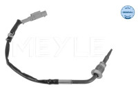 Sensor, avgastemperatur