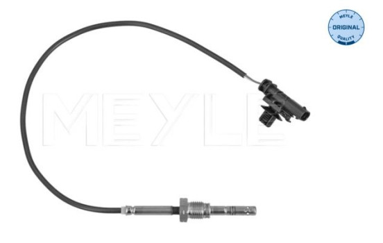 Sensor, avgastemperatur