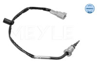 Sensor, avgastemperatur