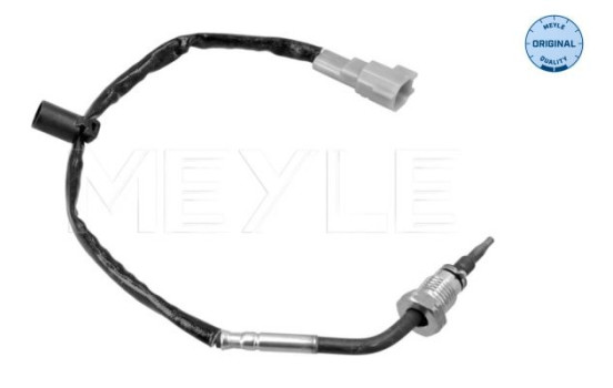 Sensor, avgastemperatur