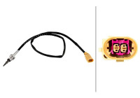 Sensor, avgastemperatur