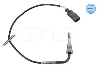 Sensor, avgastemperatur