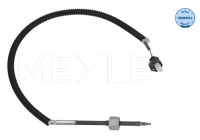 Sensor, avgastemperatur