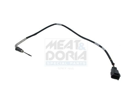 Sensor, avgastemperatur