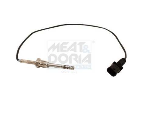 Sensor, avgastemperatur