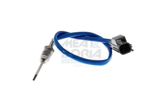 Sensor, avgastemperatur