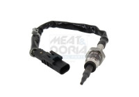 Sensor, avgastemperatur