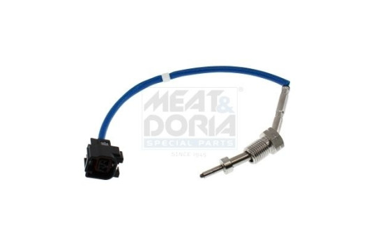 Sensor, avgastemperatur