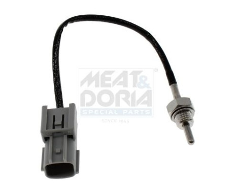 Sensor, avgastemperatur