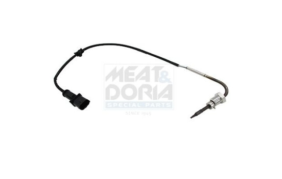 Sensor, avgastemperatur