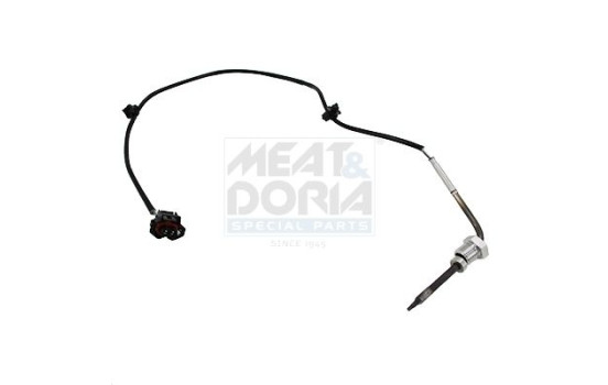 Sensor, avgastemperatur