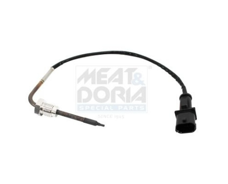 Sensor, avgastemperatur