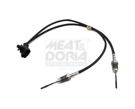 Sensor, avgastemperatur