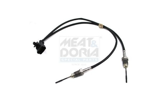Sensor, avgastemperatur