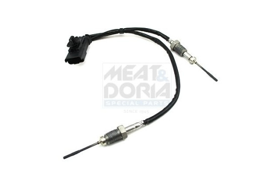 Sensor, avgastemperatur