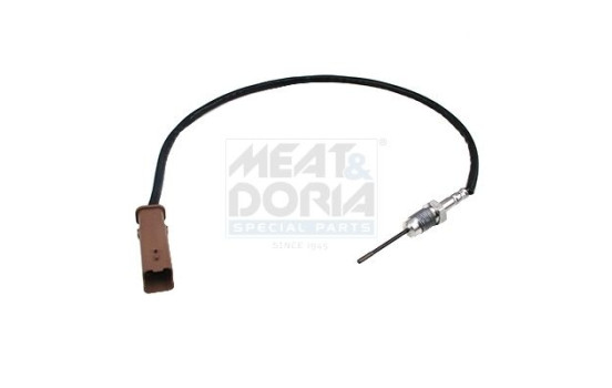 Sensor, avgastemperatur