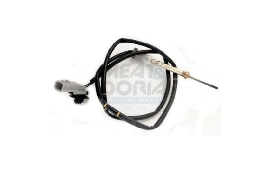 Sensor, avgastemperatur