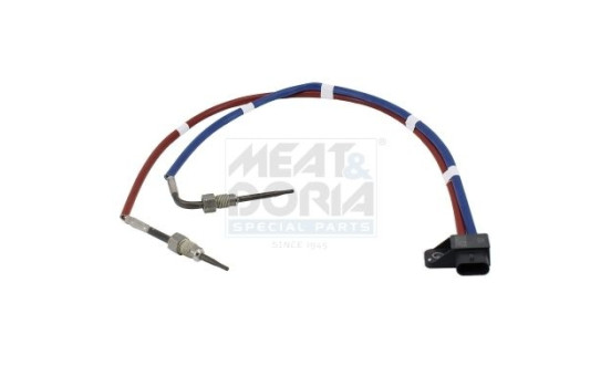 Sensor, avgastemperatur