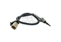Sensor, avgastemperatur