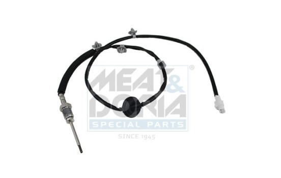 Sensor, avgastemperatur