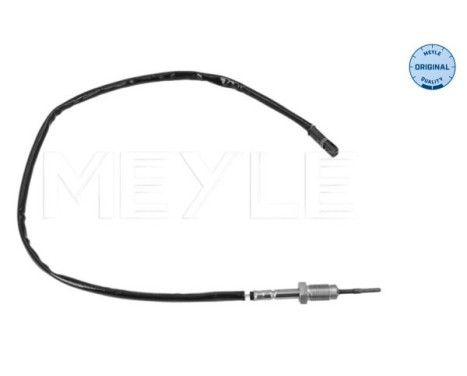 Sensor, avgastemperatur