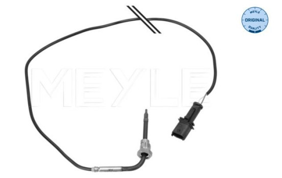 Sensor, avgastemperatur