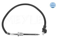 Sensor, avgastemperatur