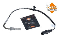 Sensor, avgastemperatur