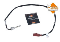 Sensor, avgastemperatur