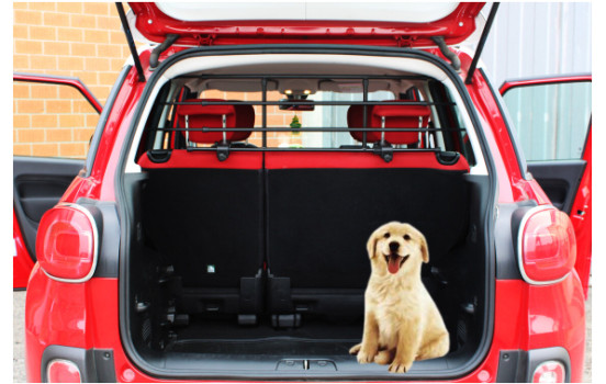 G3 Dog Guard 'Pratico' 85-140cm stål, bild 6