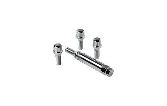 AutoStyle Slot bolt set