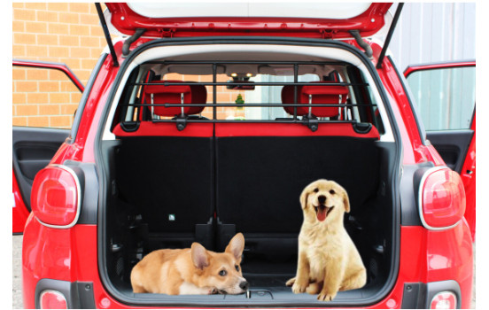 G3 Grille Chien 'Pratico' 85-140cm acier