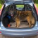 Grillage universel de garde de chien