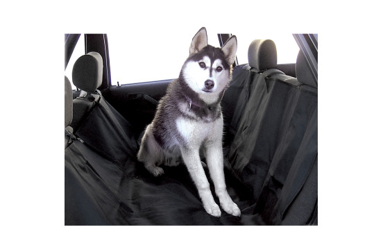 Plaque de protection voiture 140 x 150cm