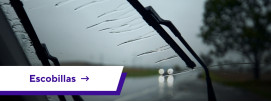 Escobillas limpiaparabrisas