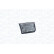 Blinkande ljus RV15667 Magneti Marelli