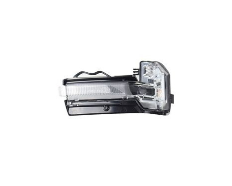 Blinker 0374916 Van Wezel