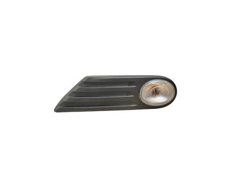 Blinker 0506915 Van Wezel