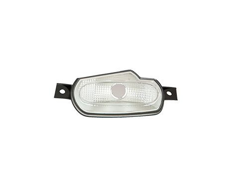 Blinker 2916905 Van Wezel