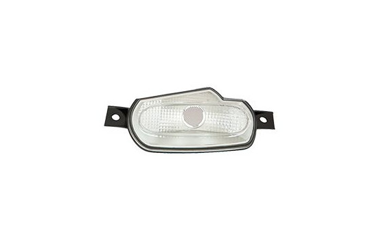 Blinker 2916905 Van Wezel